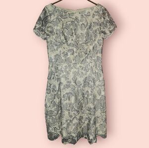 Tory Burch Summer Guipure Lace Gray Cream Mini Dress 2 Elegant Party Shortsleeve